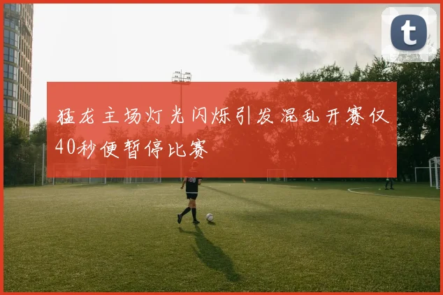 猛龙主场灯光闪烁引发混乱开赛仅40秒便暂停比赛