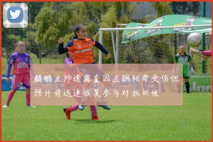鹈鹕主帅透露奎因左腕韧带受伤但预计将迅速恢复参与对抗训练